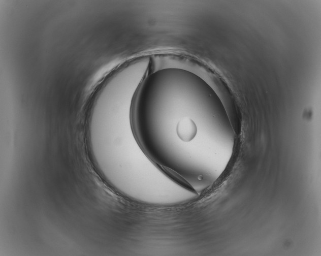 X0000091231406200708161707
