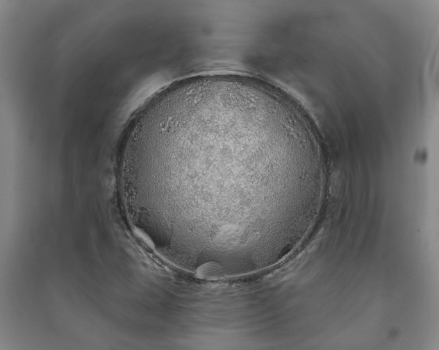 X0000091231407200708161707