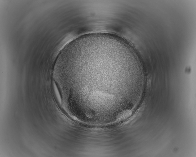 X0000091231409200708161707