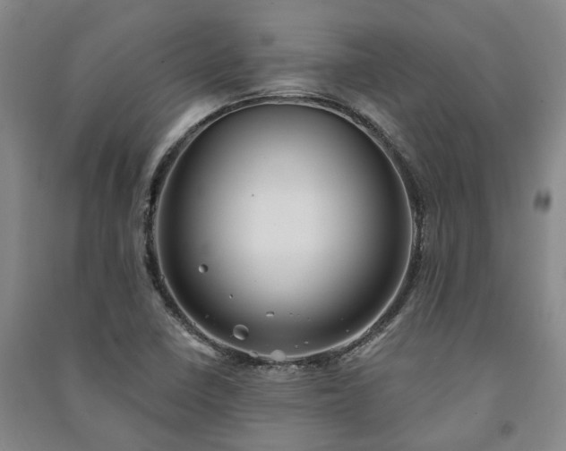 X0000091231410200708161707