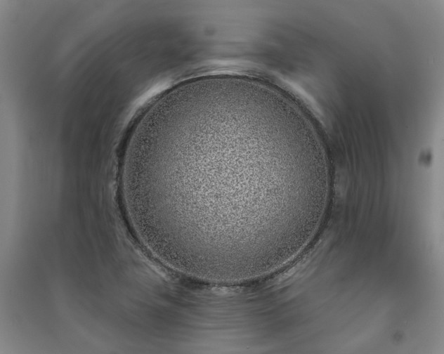 X0000091231411200708161707
