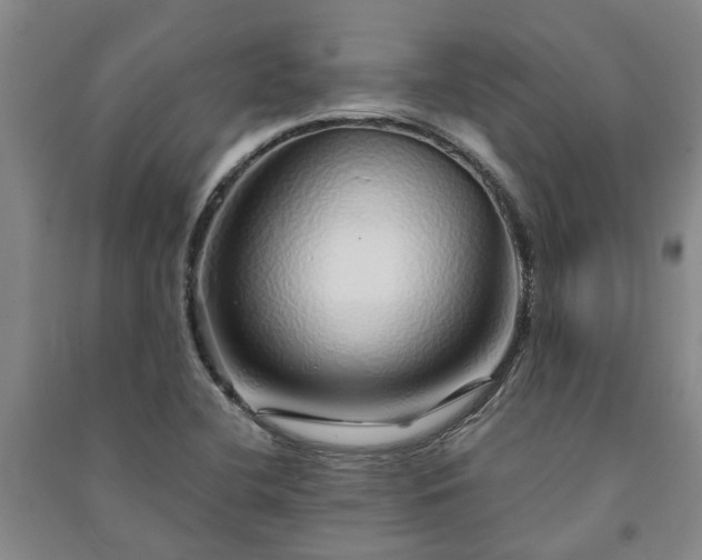 X0000091231412200708161707
