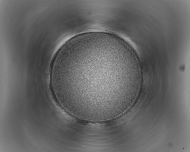 X0000091231415200708161707