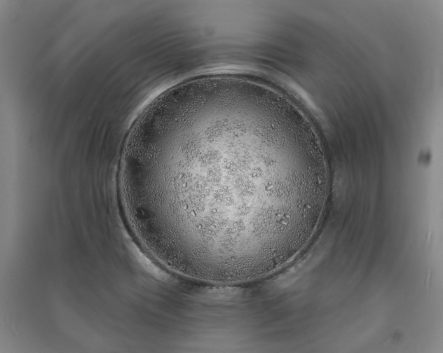 X0000091231417200708161707