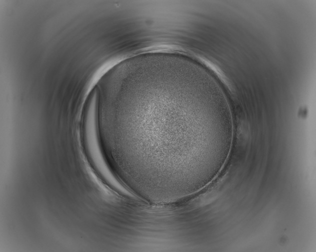 X0000091231418200708161707