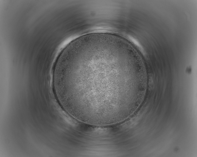 X0000091231419200708161707