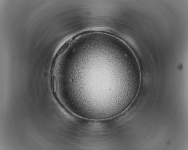 X0000091231420200708161707
