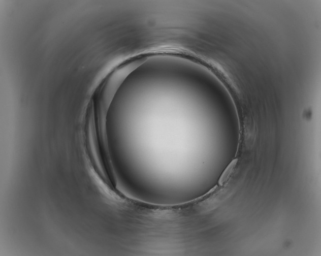X0000091231422200708161707