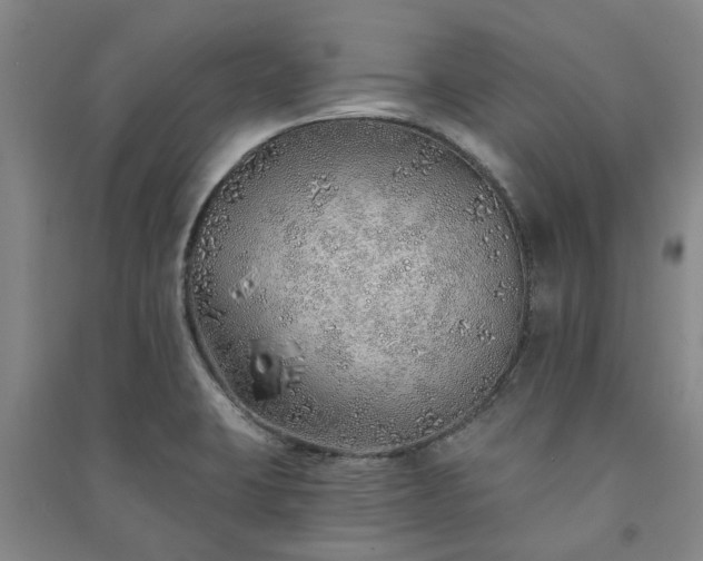 X0000091231423200708161707