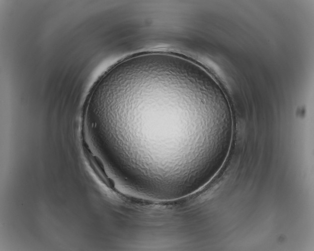 X0000091231424200708161707