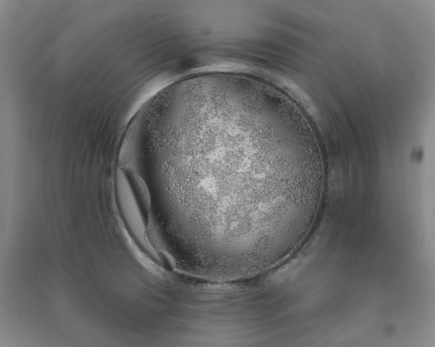 X0000091231425200708161707