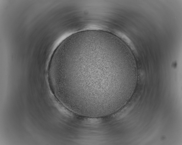 X0000091231427200708161707