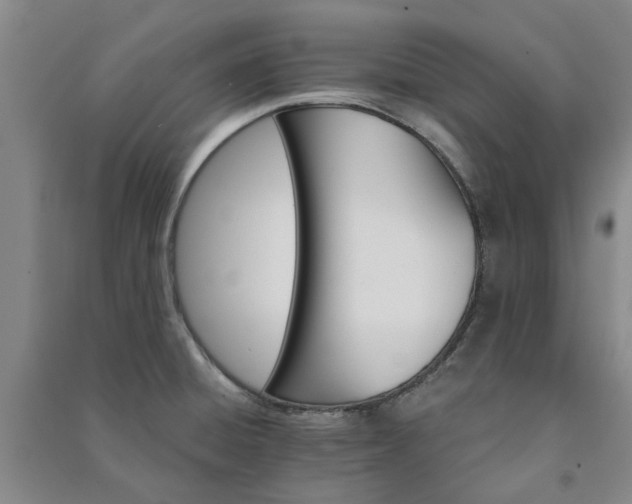 X0000091231428200708161707