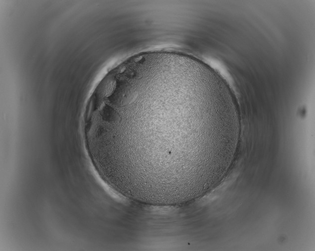 X0000091231429200708161707