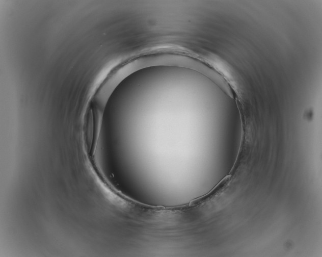 X0000091231430200708161707