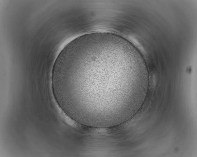 X0000091231431200708161708