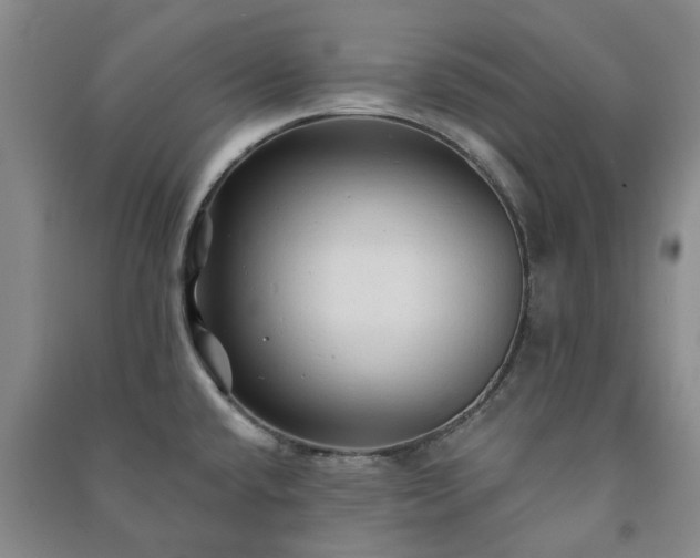 X0000091231432200708161708