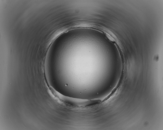 X0000091231433200708161708