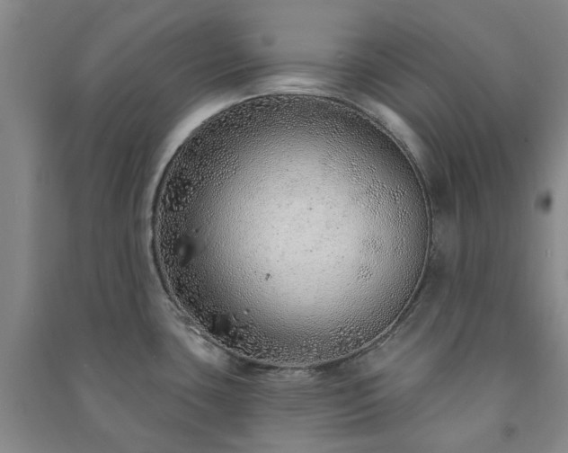 X0000091231435200708161708