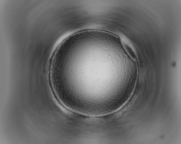 X0000091231437200708161708