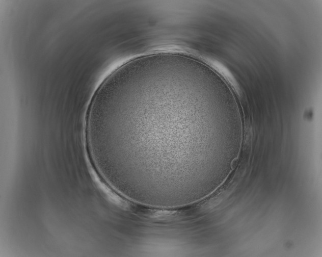 X0000091231439200708161708