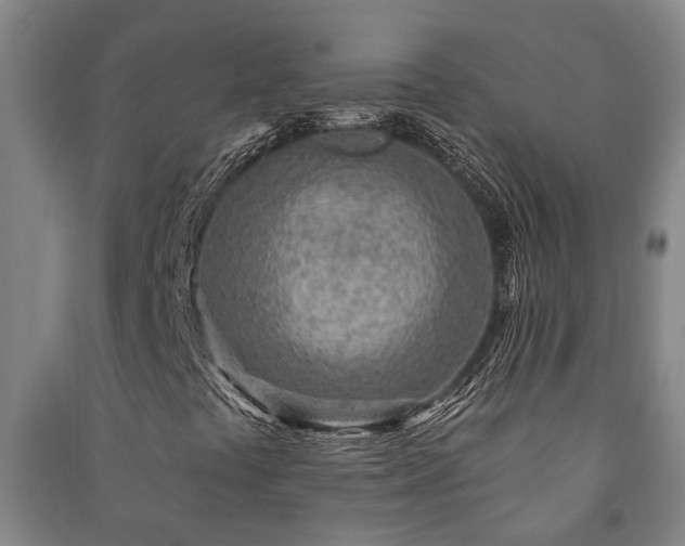 X0000091231441200708161707