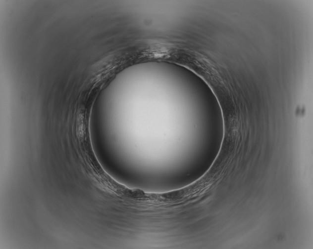 X0000091231442200708161707
