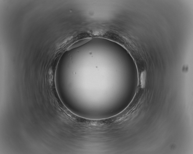 X0000091231443200708161707