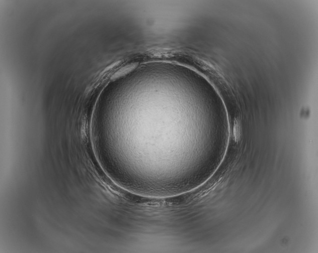 X0000091231444200708161707