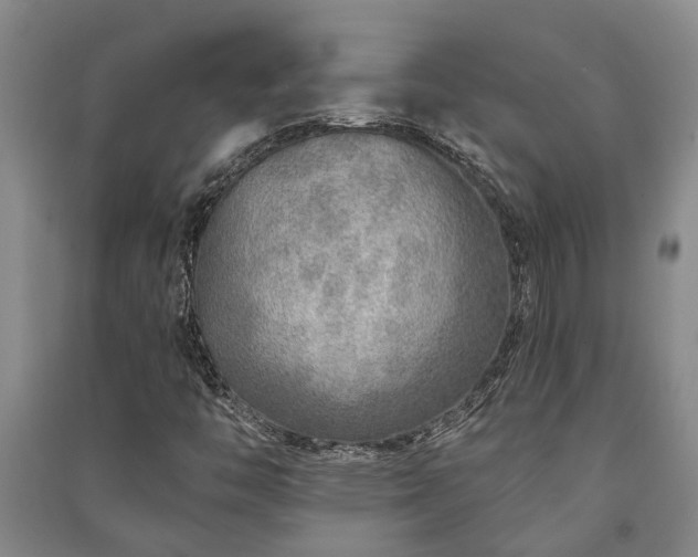 X0000091231446200708161707