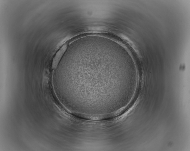 X0000091231449200708161707