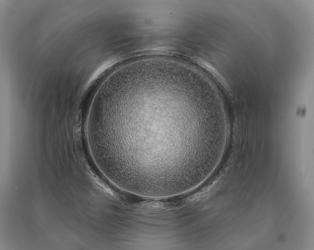 X0000091231450200708161707