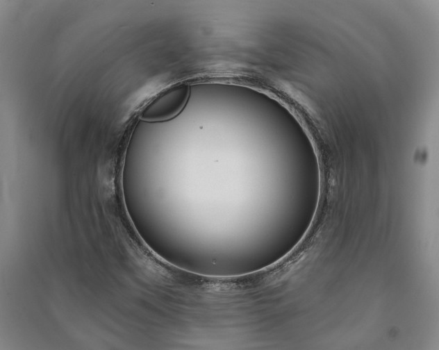 X0000091231451200708161707