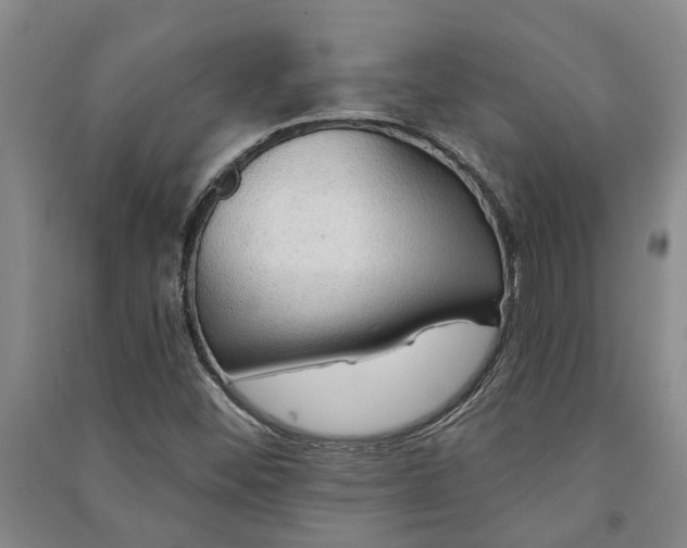 X0000091231452200708161707
