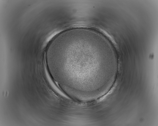 X0000091231453200708161707