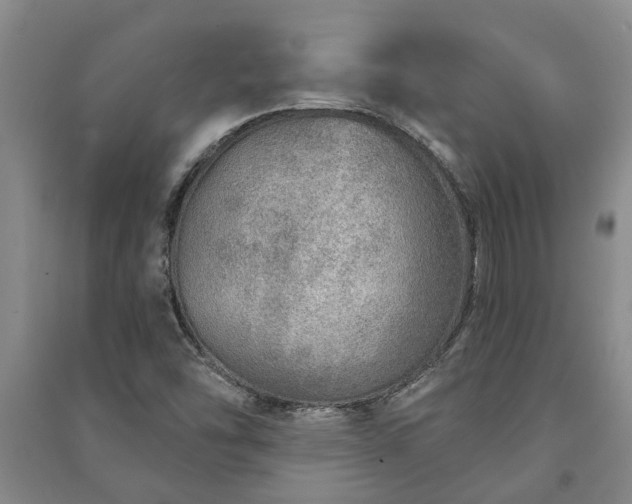 X0000091231454200708161707