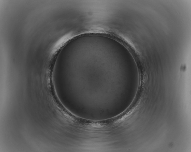 X0000091231455200708161707