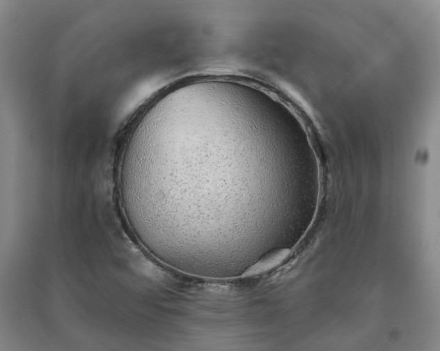 X0000091231456200708161707