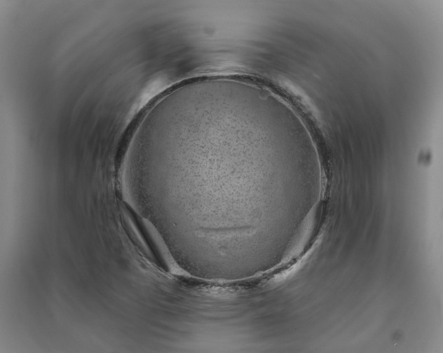 X0000091231457200708161707