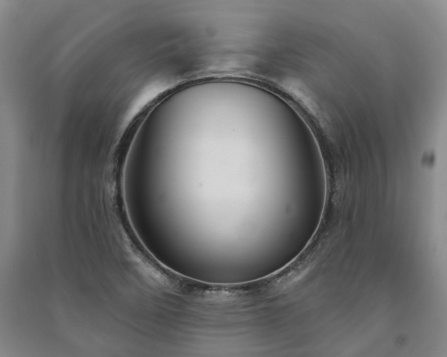 X0000091231458200708161707