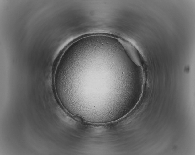 X0000091231460200708161707