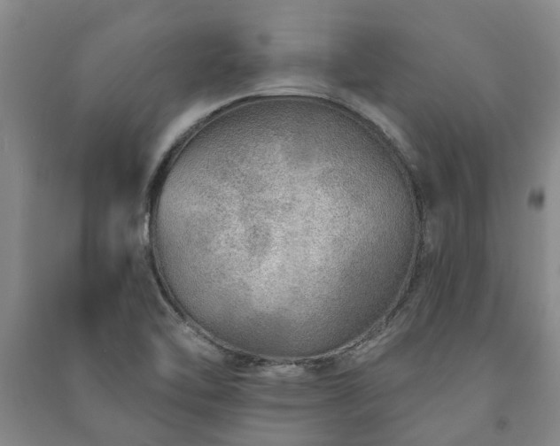 X0000091231462200708161707