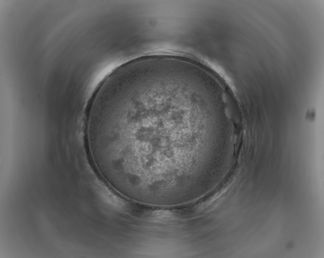 X0000091231463200708161707