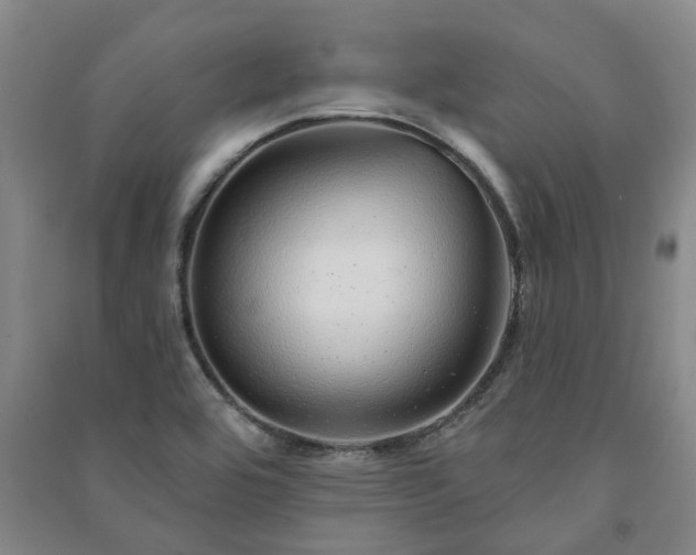 X0000091231464200708161707