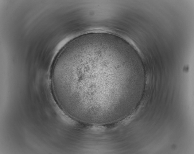 X0000091231466200708161707