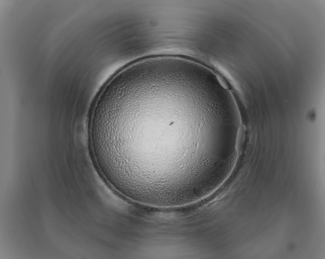 X0000091231468200708161707