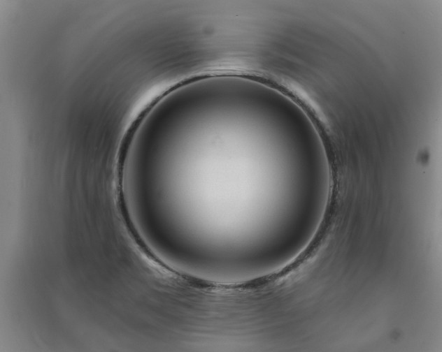 X0000091231469200708161707