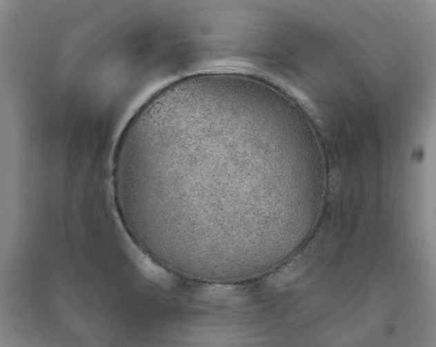 X0000091231470200708161707