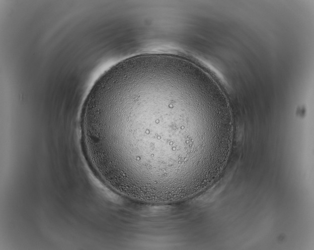 X0000091231471200708161707