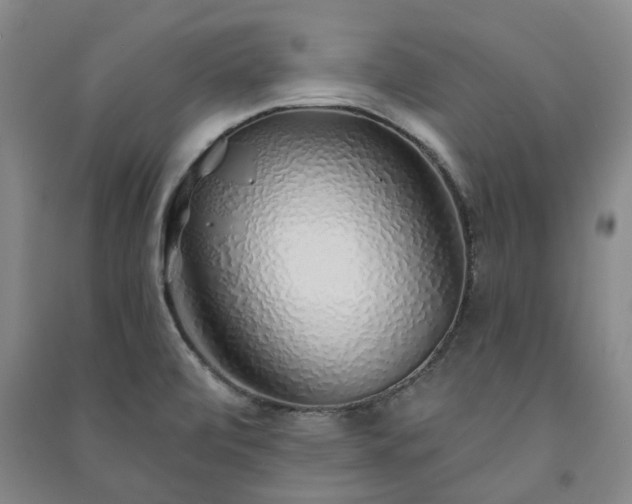 X0000091231472200708161707